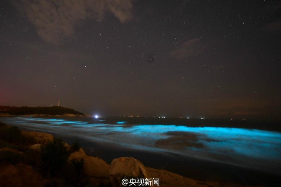 救援受困的萌兔